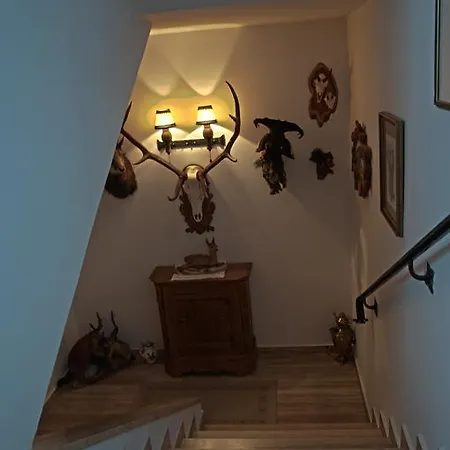 Daire Haus Rosswiese *