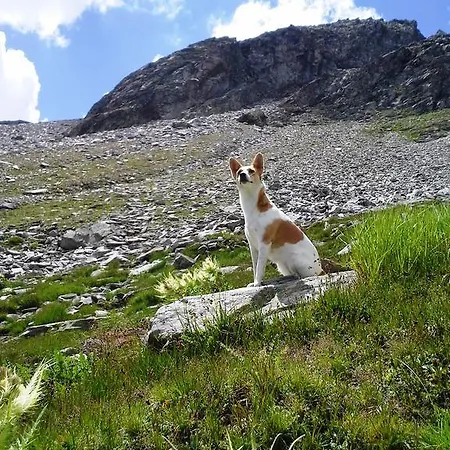 Daire Haus Rosswiese Strobl