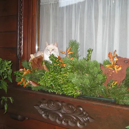 Haus Rosswiese * 스트로블