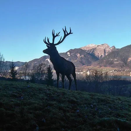 Haus Rosswiese * 스트로블