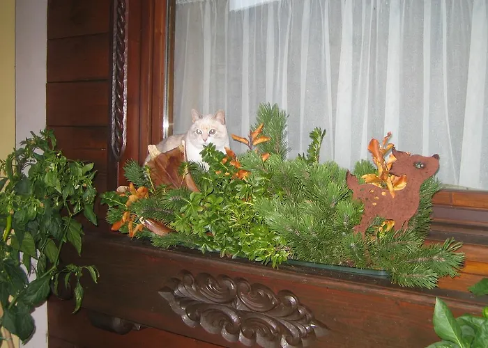 Haus Rosswiese * 施特罗布尔