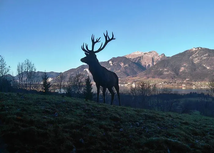 Haus Rosswiese * 施特罗布尔